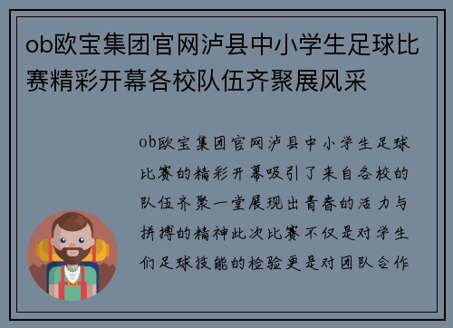 ob欧宝集团官网泸县中小学生足球比赛精彩开幕各校队伍齐聚展风采